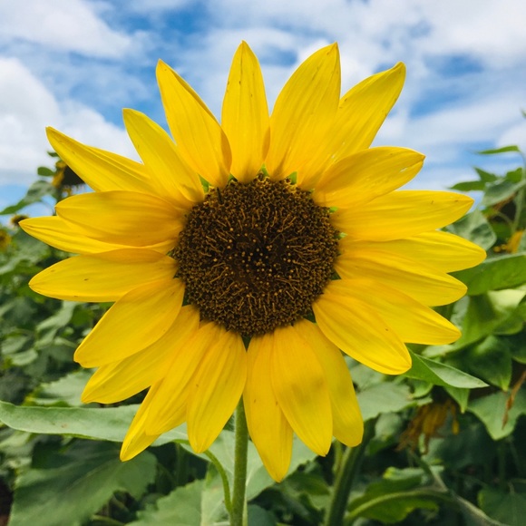 Meet your Posher, hungrystitch626! 🌈 - Picture 2 of 2